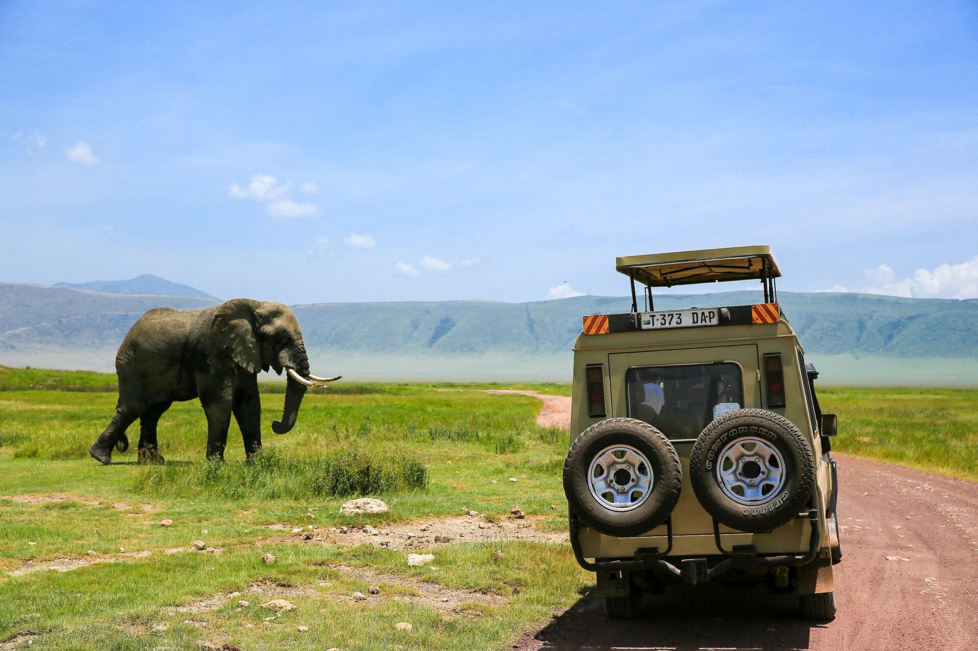 Auf Pirschfahrt durch den Ngorongoro Krater © Lars Eichapfel