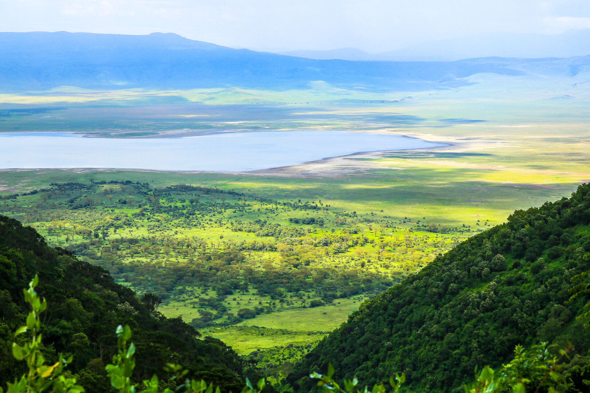 Blick auf das satte Grün des Ngorongoro Kraters in der Regenzeit © Lars Eichapfel