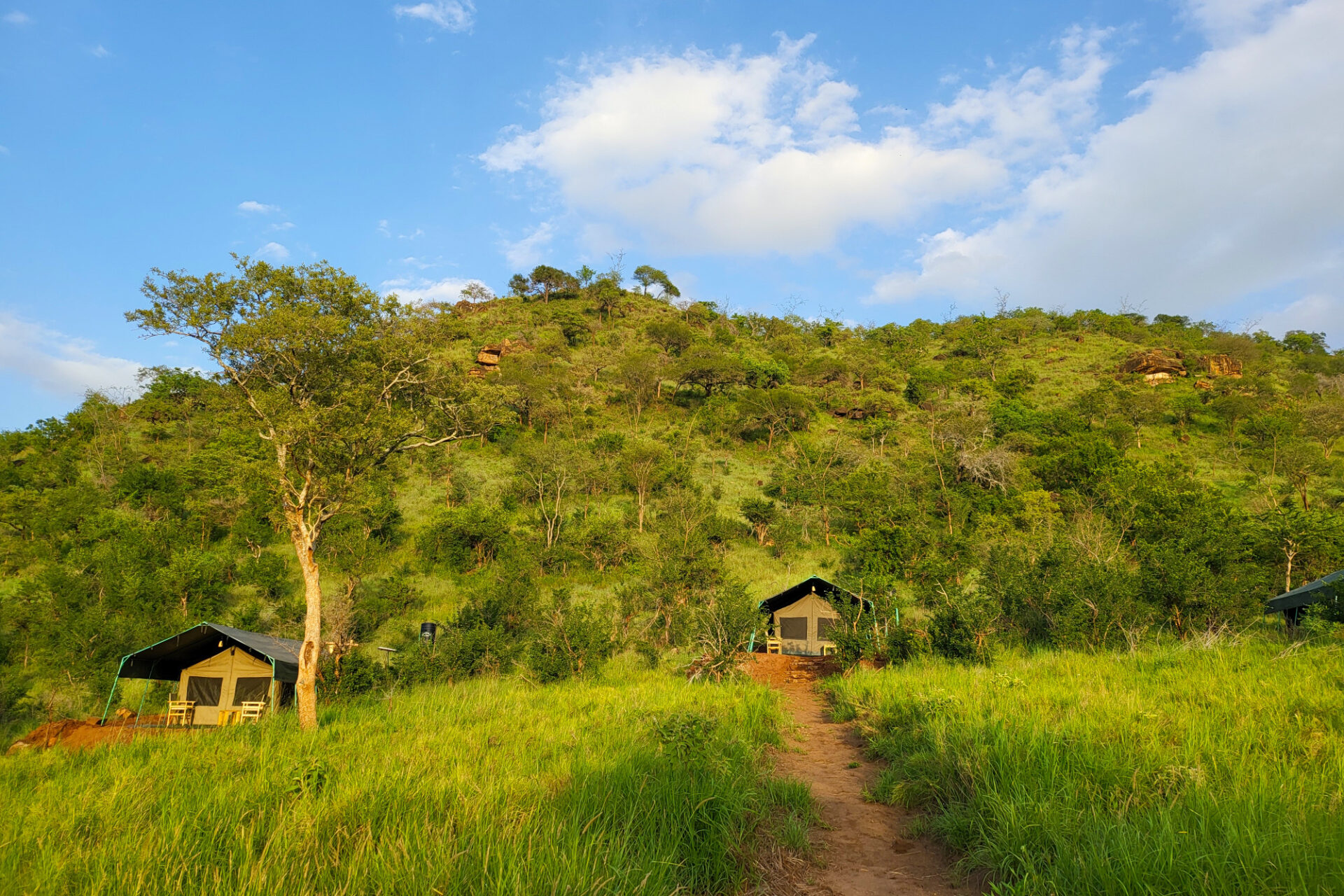 Safarizelte im Mkomazi View Camp